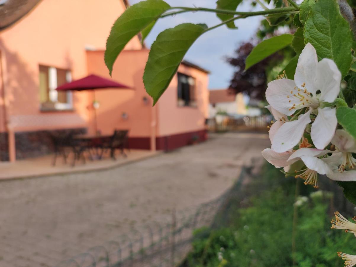 Storchennest Mit Eigenem Hof, Spielwiese Und Terrasse Apartment Науен Екстериор снимка