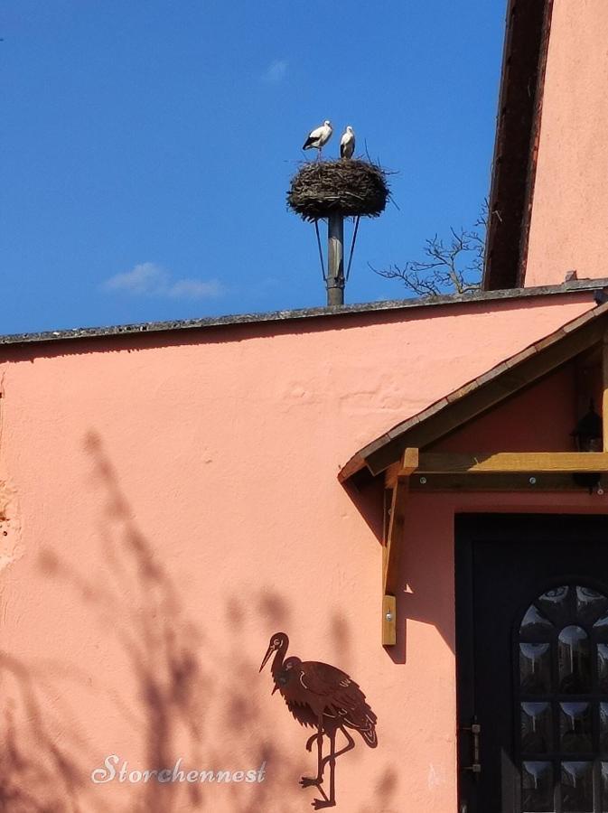 Storchennest Mit Eigenem Hof, Spielwiese Und Terrasse Apartment Науен Екстериор снимка