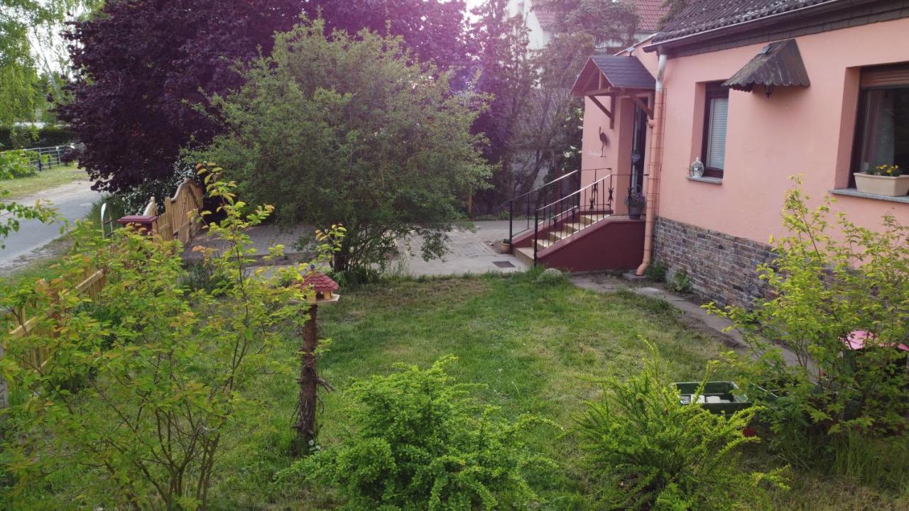 Storchennest Mit Eigenem Hof, Spielwiese Und Terrasse Apartment Науен Екстериор снимка